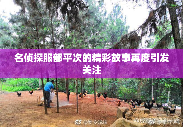 名侦探服部平次的精彩故事再度引发关注