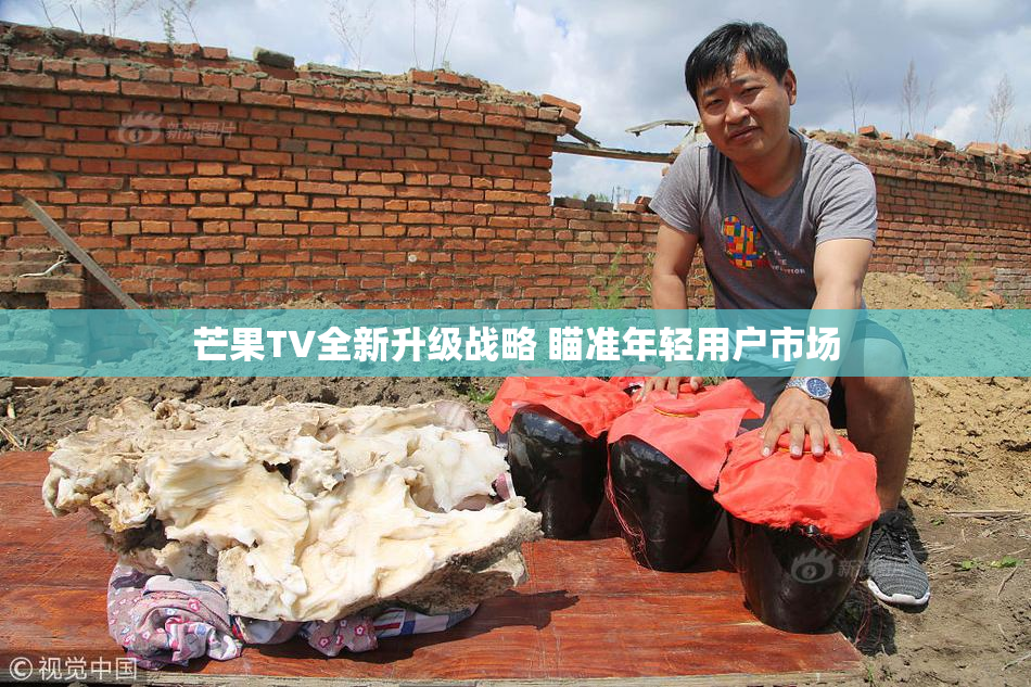 芒果TV全新升级战略 瞄准年轻用户市场