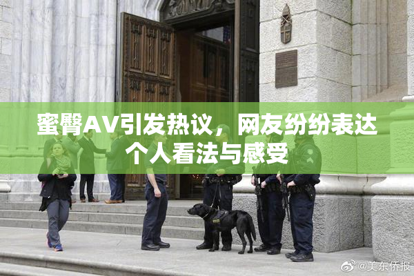 蜜臀AV引发热议，网友纷纷表达个人看法与感受