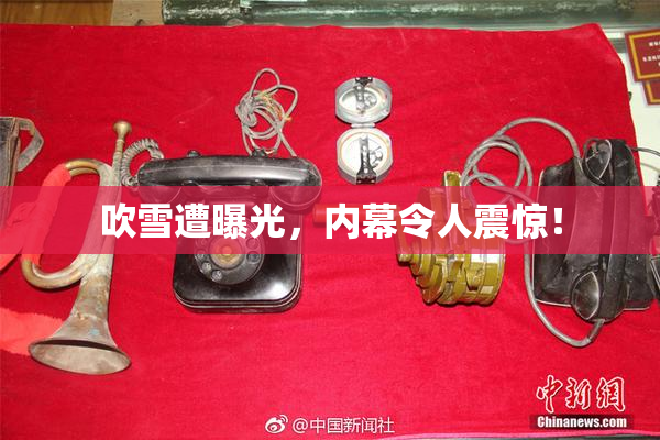 吹雪遭曝光，内幕令人震惊！