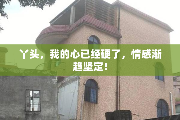丫头，我的心已经硬了，情感渐趋坚定！