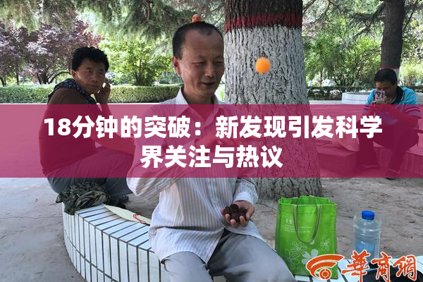 18分钟的突破：新发现引发科学界关注与热议