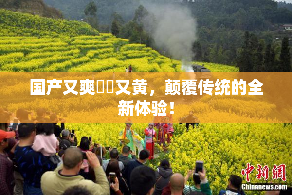 国产又爽❌‌又黄，颠覆传统的全新体验！