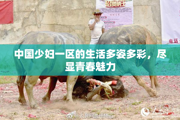 中国少妇一区的生活多姿多彩，尽显青春魅力