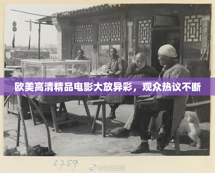 欧美高清精品电影大放异彩，观众热议不断