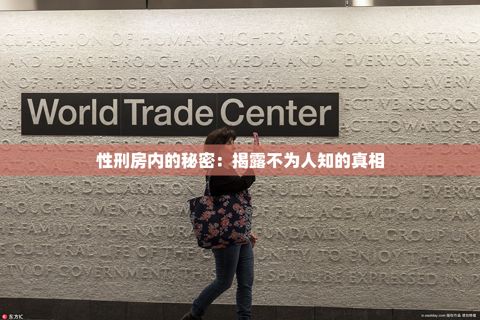性刑房内的秘密：揭露不为人知的真相
