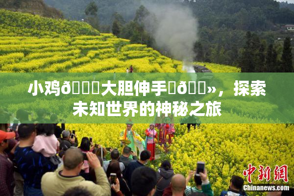小鸡🐔大胆伸手‌🐻，探索未知世界的神秘之旅