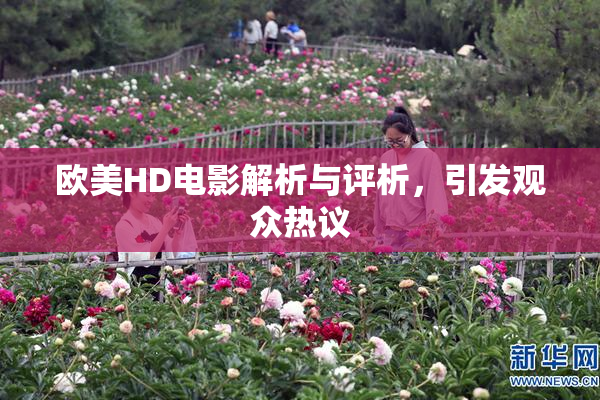 欧美HD电影解析与评析，引发观众热议