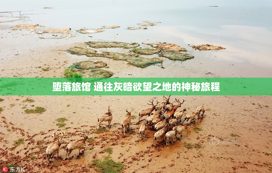 堕落旅馆 通往灰暗欲望之地的神秘旅程