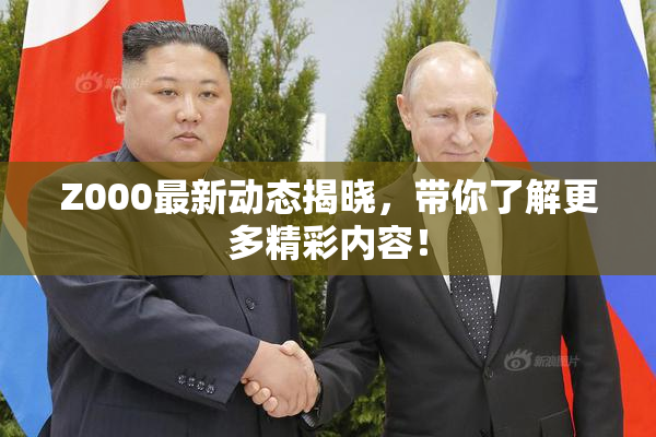 Z000最新动态揭晓，带你了解更多精彩内容！
