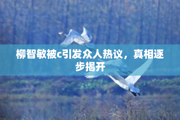 柳智敏被c引发众人热议，真相逐步揭开