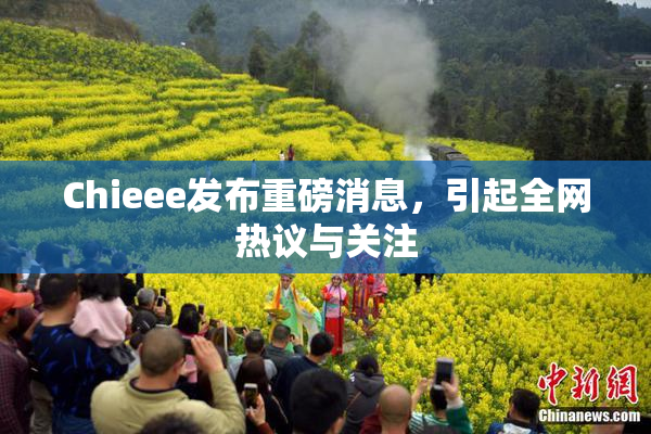 Chieee发布重磅消息，引起全网热议与关注