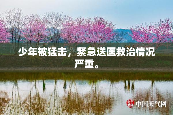 少年被猛击，紧急送医救治情况严重。