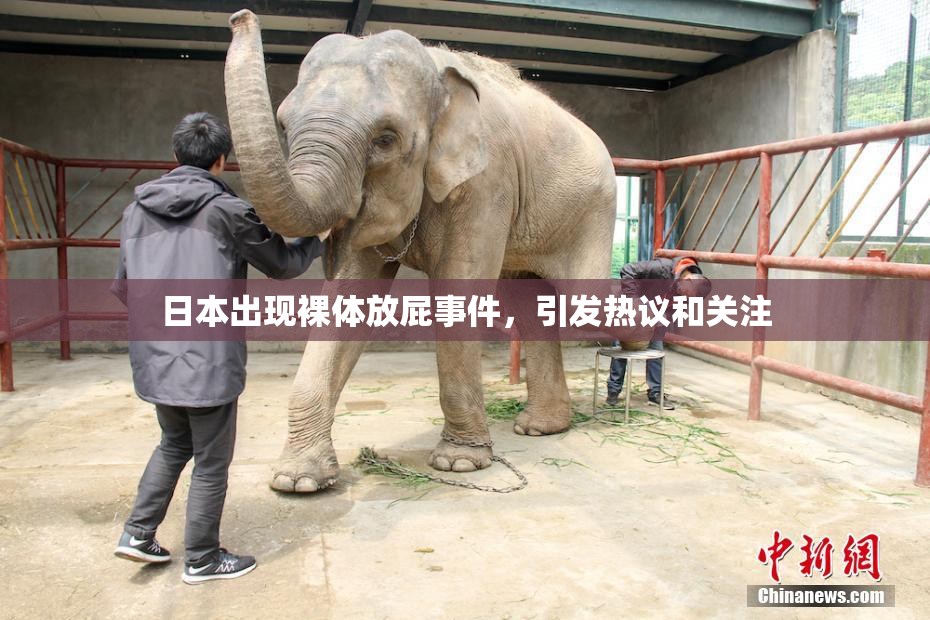 日本出现裸体放屁事件，引发热议和关注