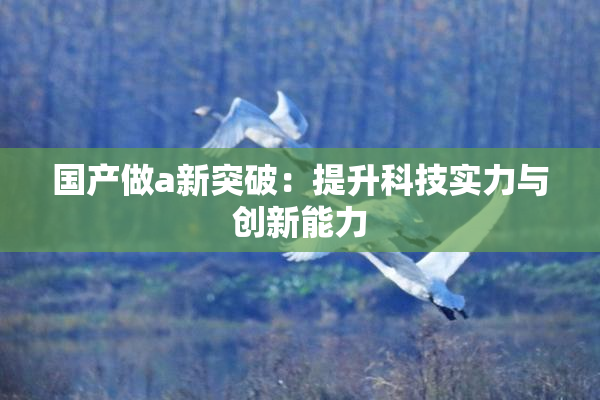 国产做a新突破：提升科技实力与创新能力