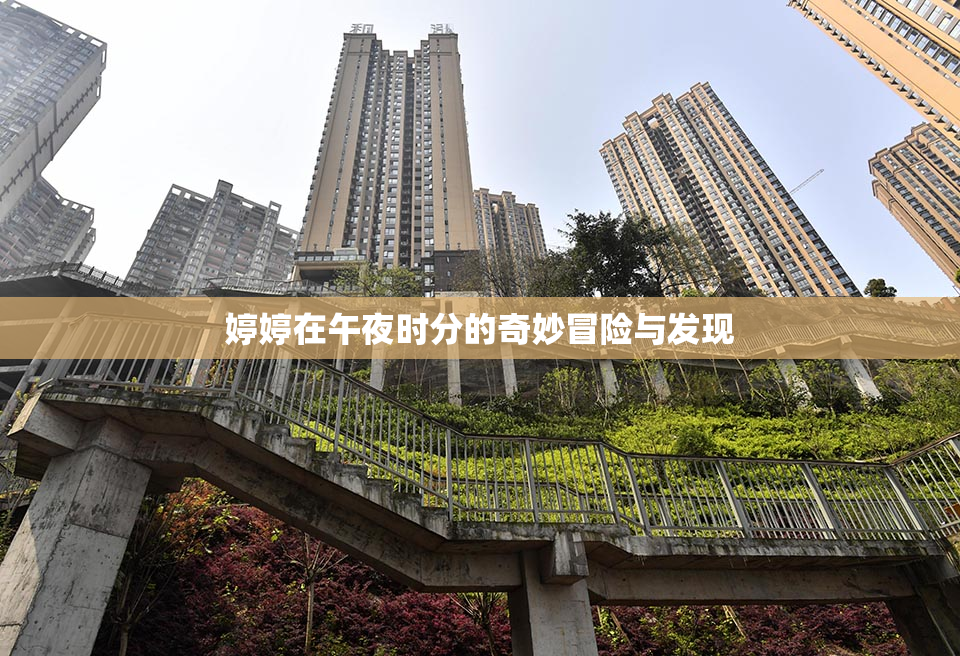婷婷在午夜时分的奇妙冒险与发现
