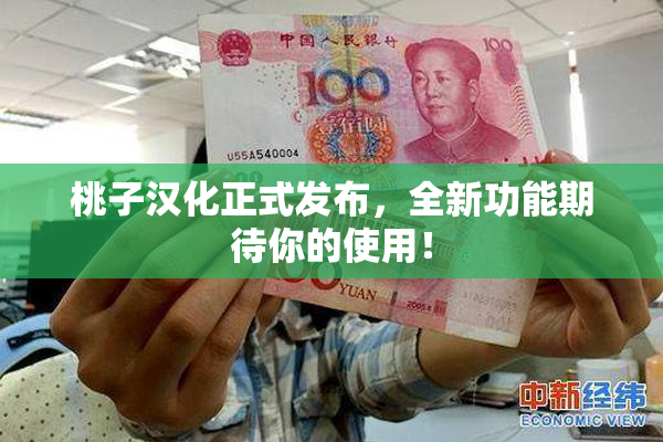 桃子汉化正式发布，全新功能期待你的使用！