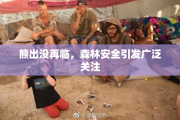 熊出没再临，森林安全引发广泛关注
