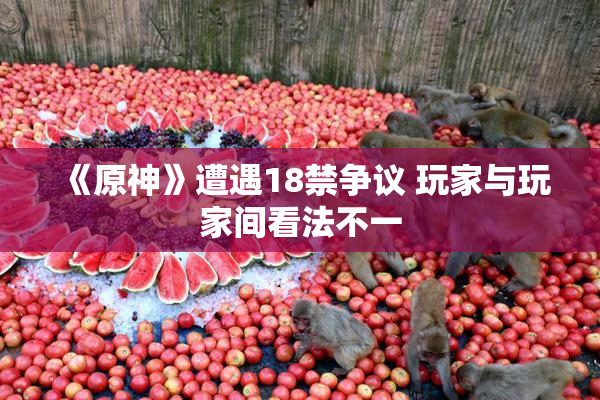 《原神》遭遇18禁争议 玩家与玩家间看法不一