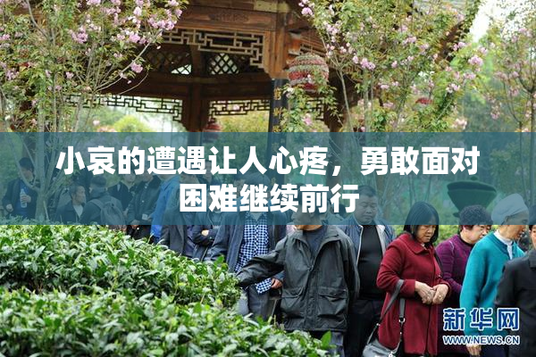 小哀的遭遇让人心疼，勇敢面对困难继续前行