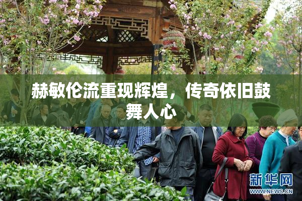 赫敏伦流重现辉煌，传奇依旧鼓舞人心