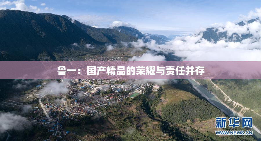 鲁一：国产精品的荣耀与责任并存