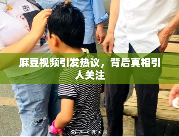 麻豆视频引发热议，背后真相引人关注