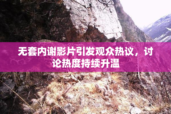 无套内谢影片引发观众热议，讨论热度持续升温