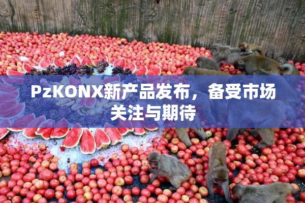 PzKONX新产品发布，备受市场关注与期待