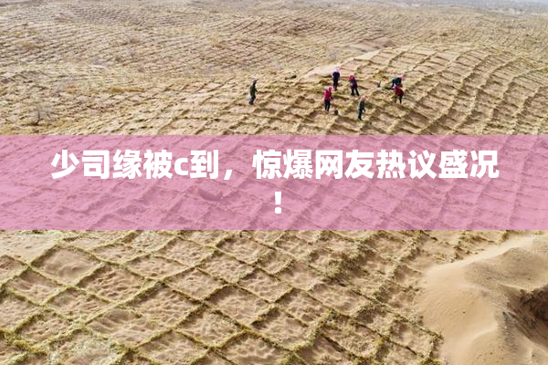 少司缘被c到，惊爆网友热议盛况！