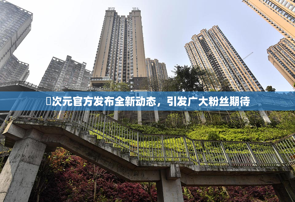 囧次元官方发布全新动态，引发广大粉丝期待