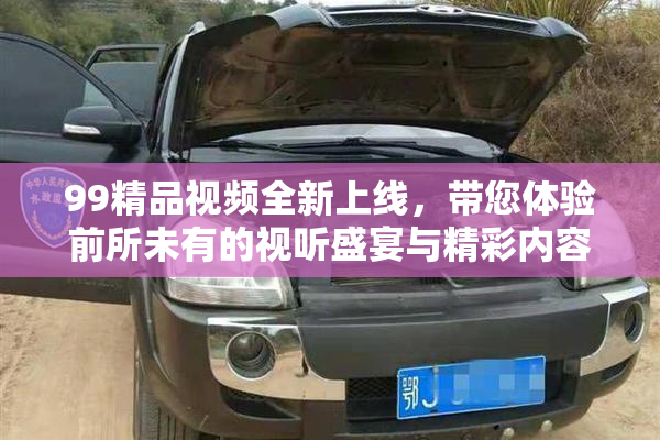 99精品视频全新上线，带您体验前所未有的视听盛宴与精彩内容！