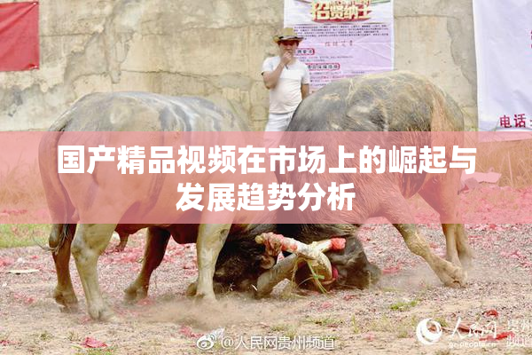 国产精品视频在市场上的崛起与发展趋势分析