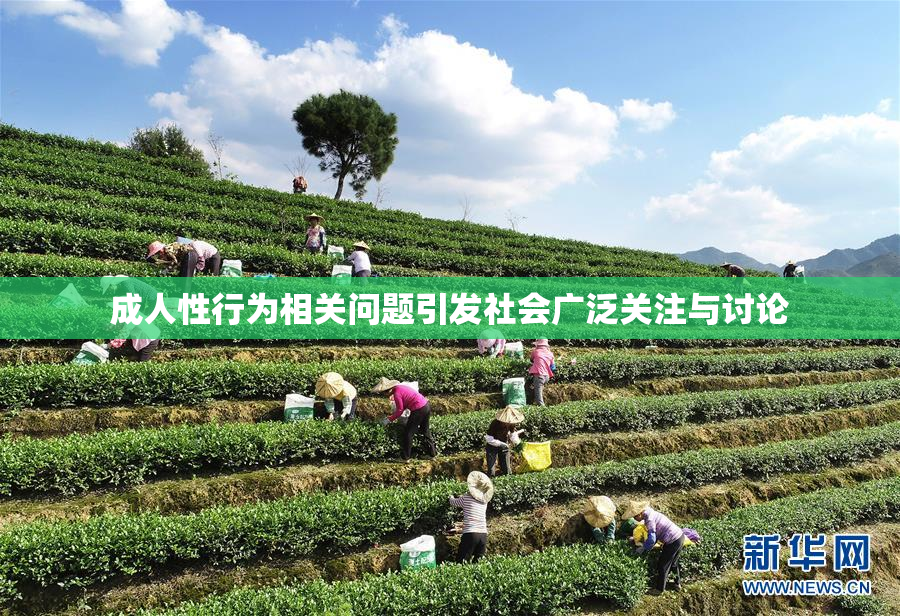 成人性行为相关问题引发社会广泛关注与讨论
