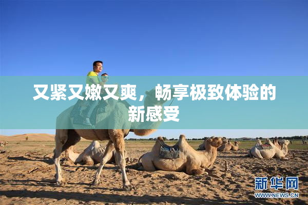 又紧又嫩又爽，畅享极致体验的新感受