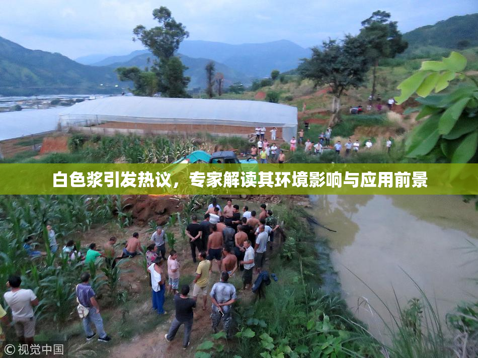 白色浆引发热议，专家解读其环境影响与应用前景
