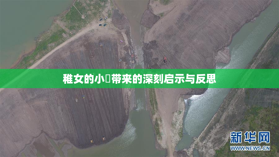稚女的小泬带来的深刻启示与反思