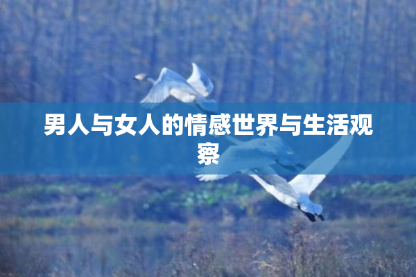 男人与女人的情感世界与生活观察