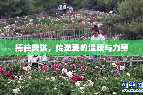 捧住美琪，传递爱的温暖与力量