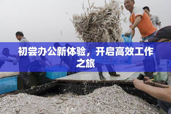 初尝办公新体验，开启高效工作之旅