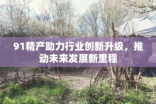 91精产助力行业创新升级，推动未来发展新里程