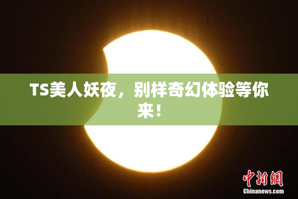 TS美人妖夜，别样奇幻体验等你来！