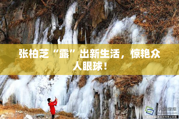 张柏芝“露”出新生活，惊艳众人眼球！