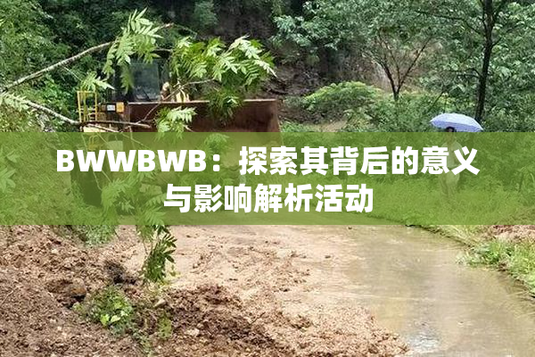 BWWBWB：探索其背后的意义与影响解析活动
