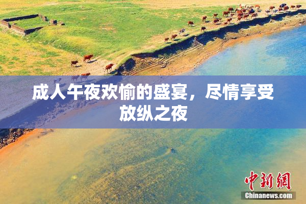 成人午夜欢愉的盛宴，尽情享受放纵之夜