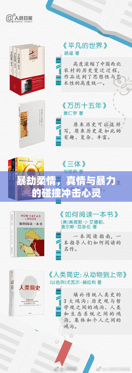 暴劫柔情，真情与暴力的碰撞冲击心灵