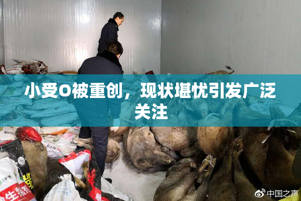 小受O被重创，现状堪忧引发广泛关注