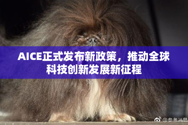 AICE正式发布新政策，推动全球科技创新发展新征程