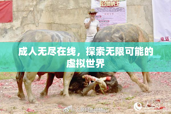 成人无尽在线，探索无限可能的虚拟世界