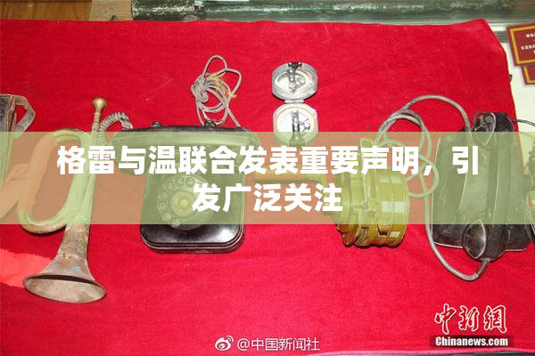 格雷与温联合发表重要声明，引发广泛关注